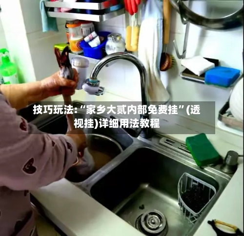 技巧玩法:“家乡大贰内部免费挂”(透视挂)详细用法教程-第2张图片