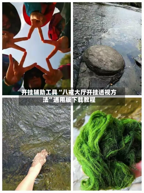 开挂辅助工具“八戒大厅开挂透视方法”通用版下载教程-第3张图片