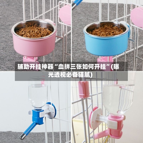 辅助开挂神器“血拼三张如何开挂”(曝光透视必备猫腻)-第1张图片