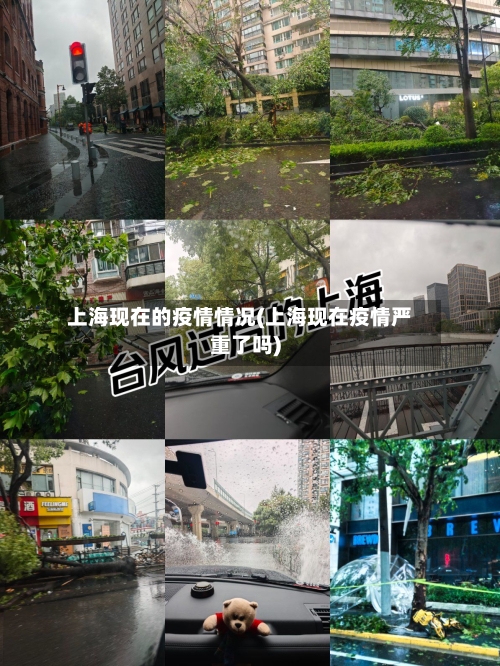 上海现在的疫情情况(上海现在疫情严重了吗)-第1张图片