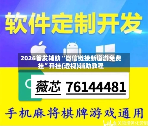 2026首发辅助“微信链接新道游免费挂”开挂(透视)辅助教程-第2张图片