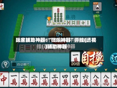 玩家辅助神器:“微乐神器”开挂(透视)辅助神器-第2张图片