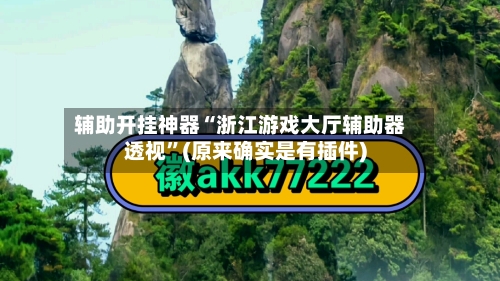 辅助开挂神器“浙江游戏大厅辅助器透视”(原来确实是有插件)-第2张图片