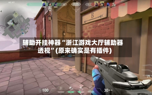 辅助开挂神器“浙江游戏大厅辅助器透视”(原来确实是有插件)-第3张图片