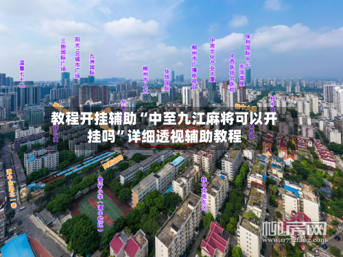 教程开挂辅助“中至九江麻将可以开挂吗”详细透视辅助教程-第2张图片