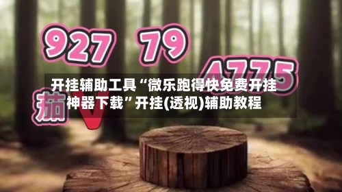 开挂辅助工具“微乐跑得快免费开挂神器下载	”开挂(透视)辅助教程-第2张图片