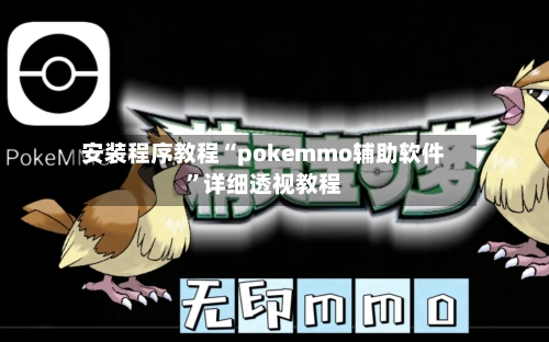 安装程序教程“pokemmo辅助软件”详细透视教程-第1张图片
