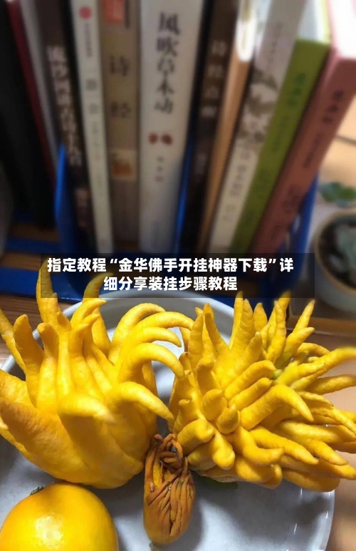 指定教程“金华佛手开挂神器下载”详细分享装挂步骤教程-第1张图片