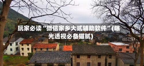 玩家必读“微信家乡大贰辅助软件”(曝光透视必备猫腻)-第2张图片