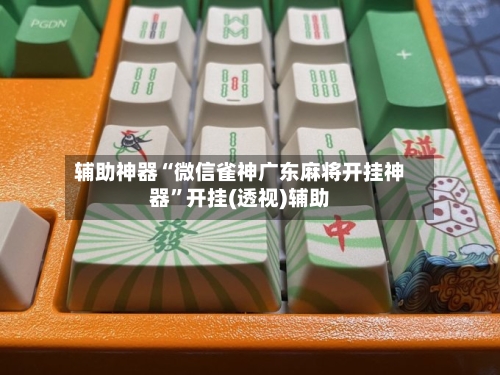 辅助神器“微信雀神广东麻将开挂神器”开挂(透视)辅助-第2张图片