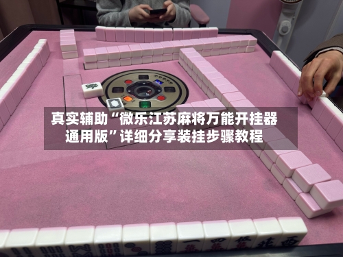 真实辅助“微乐江苏麻将万能开挂器通用版”详细分享装挂步骤教程-第3张图片