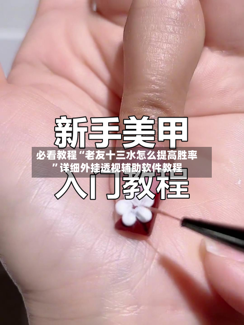 必看教程“老友十三水怎么提高胜率”详细外挂透视辅助软件教程-第3张图片