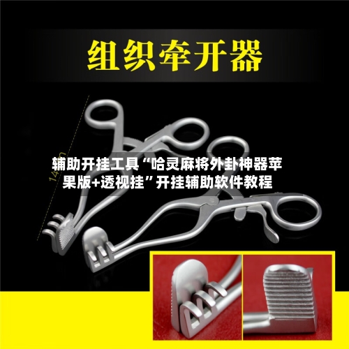 辅助开挂工具“哈灵麻将外卦神器苹果版+透视挂”开挂辅助软件教程-第1张图片