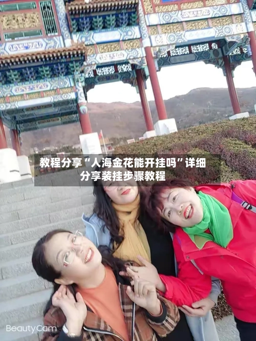 教程分享“人海金花能开挂吗”详细分享装挂步骤教程-第1张图片