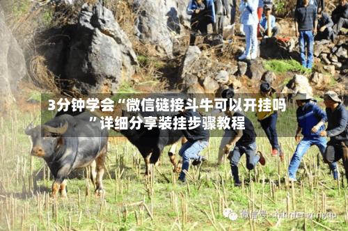 3分钟学会“微信链接斗牛可以开挂吗”详细分享装挂步骤教程-第3张图片