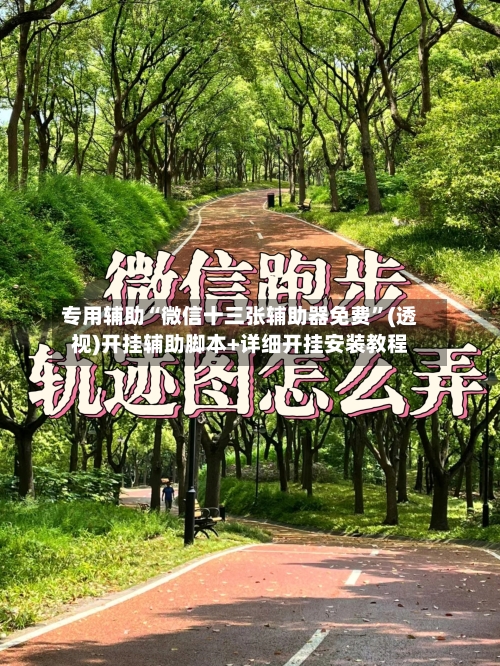 专用辅助“微信十三张辅助器免费”(透视)开挂辅助脚本+详细开挂安装教程-第1张图片