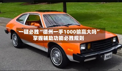 一键必胜“德州一手1000输赢大吗	”掌握辅助功能必胜规则-第1张图片