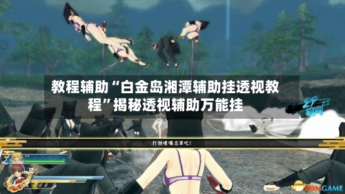 教程辅助“白金岛湘潭辅助挂透视教程”揭秘透视辅助万能挂-第3张图片