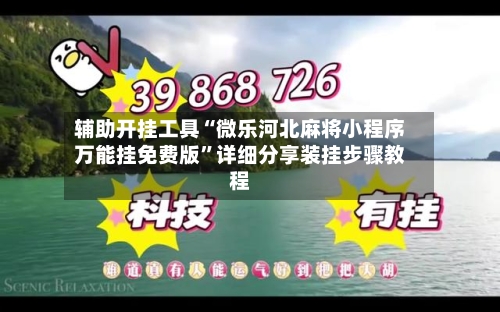 辅助开挂工具“微乐河北麻将小程序万能挂免费版”详细分享装挂步骤教程-第2张图片