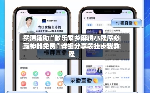 实测辅助“微乐家乡麻将小程序必赢神器免费	”详细分享装挂步骤教程-第2张图片