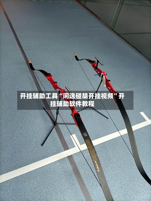 开挂辅助工具“闲逸碰胡开挂视频”开挂辅助软件教程-第3张图片