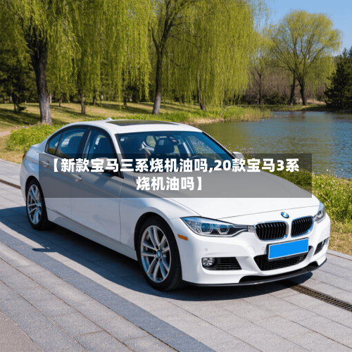 【新款宝马三系烧机油吗,20款宝马3系烧机油吗】-第1张图片