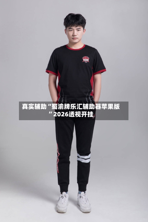 真实辅助“蜀渝牌乐汇辅助器苹果版”2026透视开挂-第2张图片