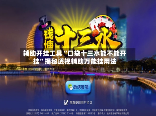 辅助开挂工具“口袋十三水能不能开挂	”揭秘透视辅助万能挂用法-第2张图片