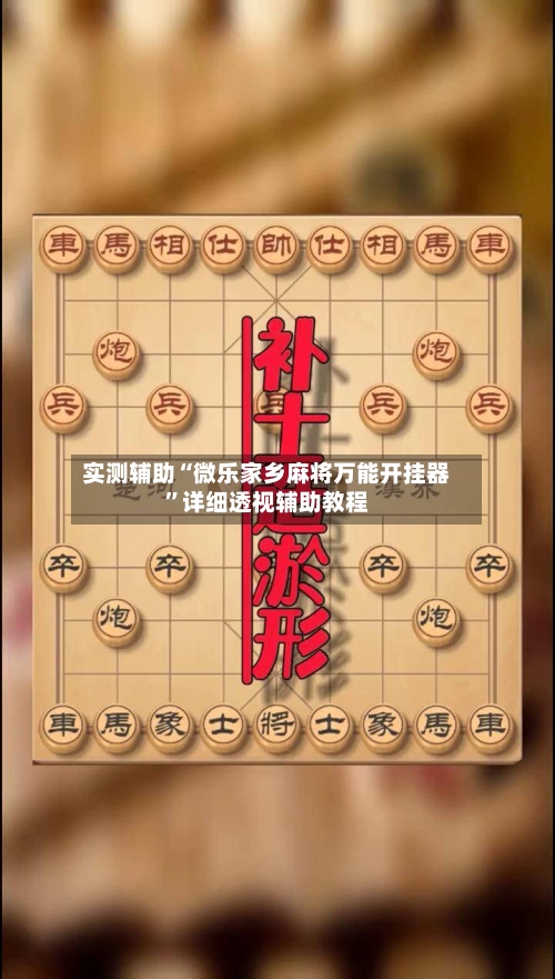 实测辅助“微乐家乡麻将万能开挂器”详细透视辅助教程-第1张图片