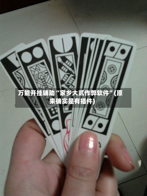 万能开挂辅助“家乡大贰作弊软件”(原来确实是有插件)-第3张图片