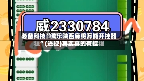 必备科技“微乐陕西麻将万能开挂器”(透视)其实真的有挂-第3张图片