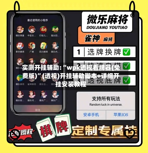 实测开挂辅助:“wpk透视看牌器(免费版)”(透视)开挂辅助脚本+详细开挂安装教程-第1张图片