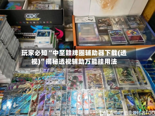 玩家必知“中至赣牌圈辅助器下载(透视)”揭秘透视辅助万能挂用法-第1张图片