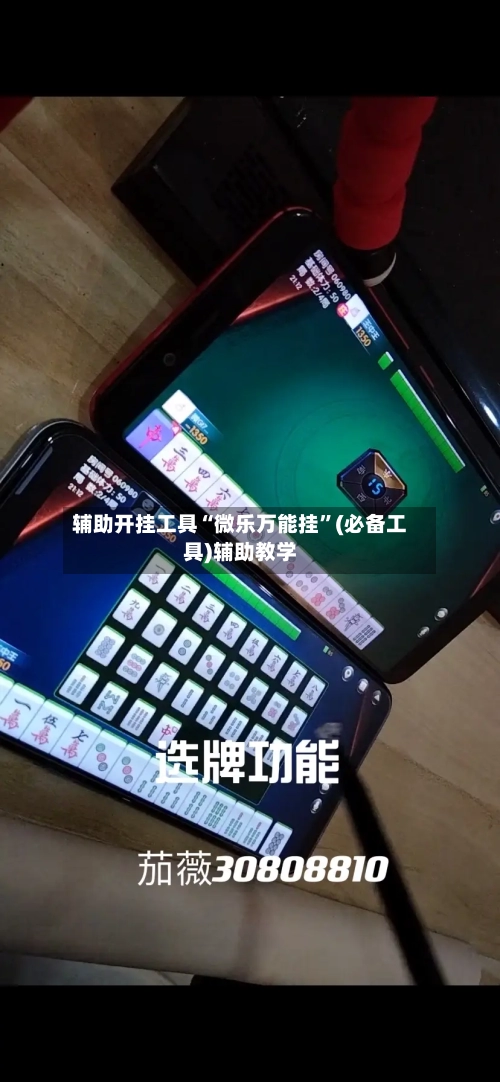 辅助开挂工具“微乐万能挂”(必备工具)辅助教学-第2张图片