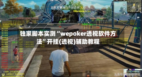独家脚本实测“wepoker透视软件方法”开挂(透视)辅助教程-第2张图片