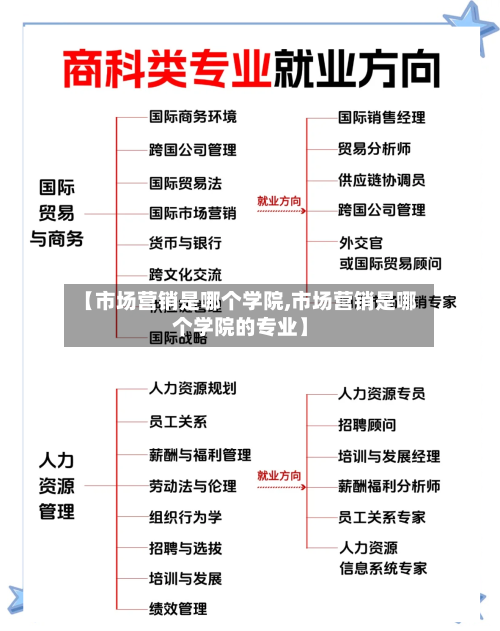 【市场营销是哪个学院,市场营销是哪个学院的专业】-第1张图片