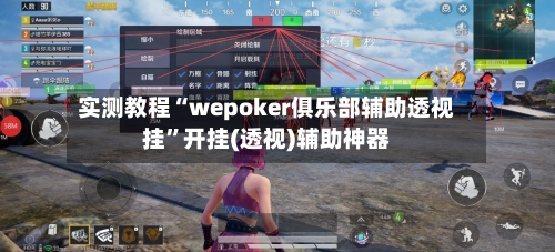 实测教程“wepoker俱乐部辅助透视挂”开挂(透视)辅助神器-第3张图片