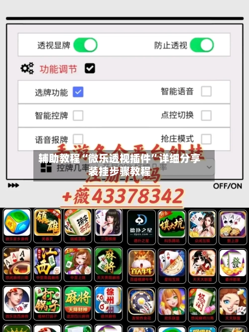 辅助教程“微乐透视插件”详细分享装挂步骤教程-第2张图片