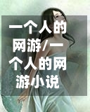一个人的网游/一个人的网游小说-第2张图片