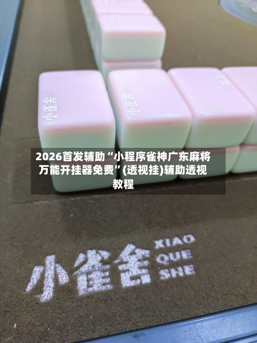 2026首发辅助“小程序雀神广东麻将万能开挂器免费”(透视挂)辅助透视教程-第2张图片