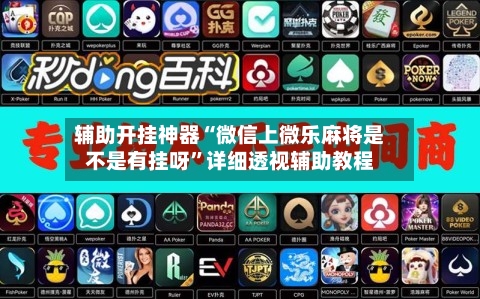 辅助开挂神器“微信上微乐麻将是不是有挂呀”详细透视辅助教程-第3张图片