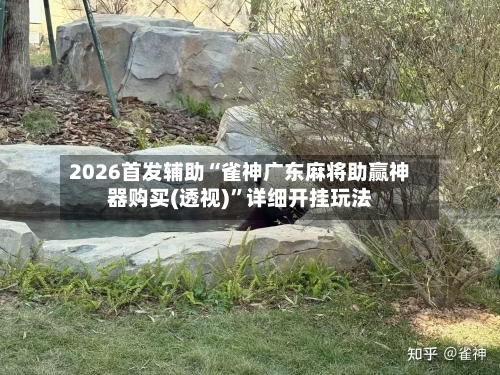2026首发辅助“雀神广东麻将助赢神器购买(透视)	”详细开挂玩法-第1张图片