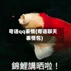 粤语qq表情(粤语聊天表情包)-第1张图片