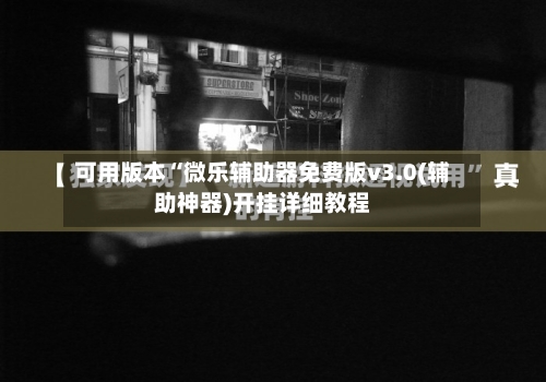 可用版本“微乐辅助器免费版v3.0(辅助神器)开挂详细教程-第2张图片