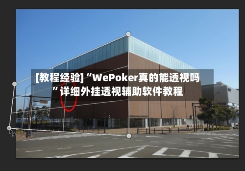 [教程经验]“WePoker真的能透视吗	”详细外挂透视辅助软件教程-第1张图片