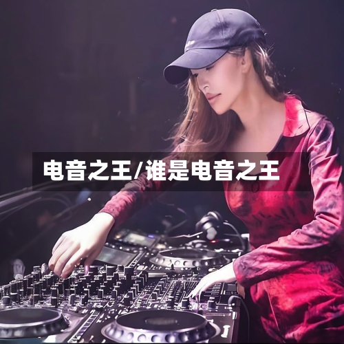 电音之王/谁是电音之王-第3张图片