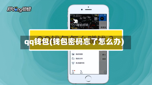 qq钱包(钱包密码忘了怎么办)-第1张图片