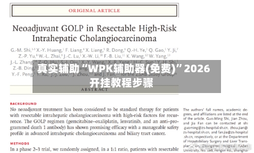 真实辅助“WPK辅助器(免费)	”2026开挂教程步骤-第1张图片