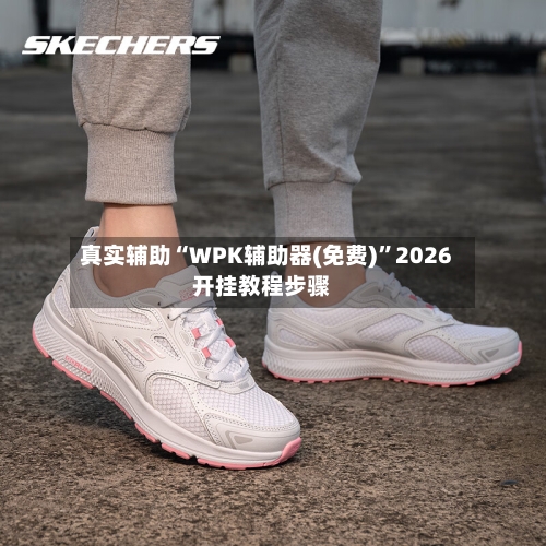 真实辅助“WPK辅助器(免费)”2026开挂教程步骤-第2张图片