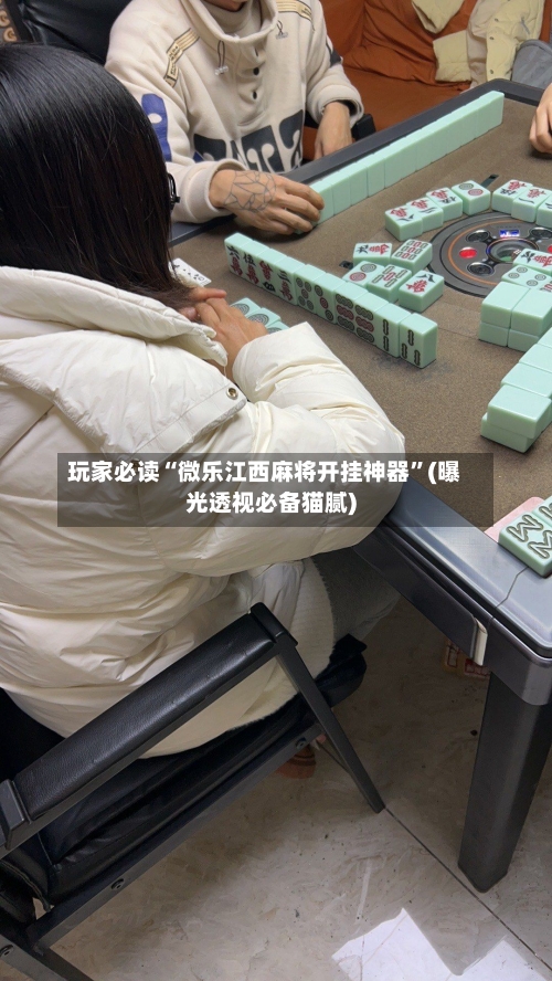 玩家必读“微乐江西麻将开挂神器”(曝光透视必备猫腻)-第2张图片